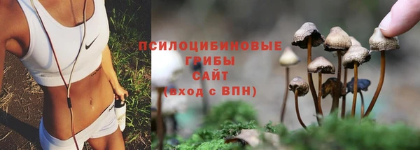 наркотики Новодвинск