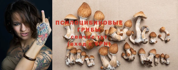 apvp Новокубанск