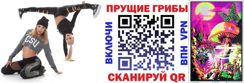 Галлюциногенные грибы MAGIC MUSHROOMS  продажа наркотиков  KRAKEN ТОР  Юхнов 